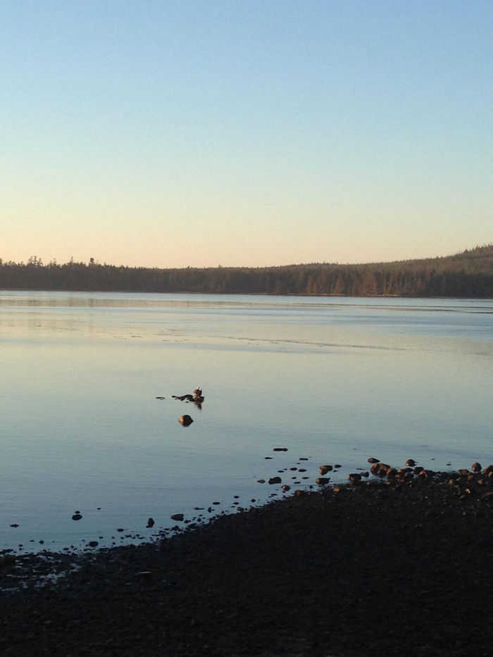 Massot Oceanview Hotel 372